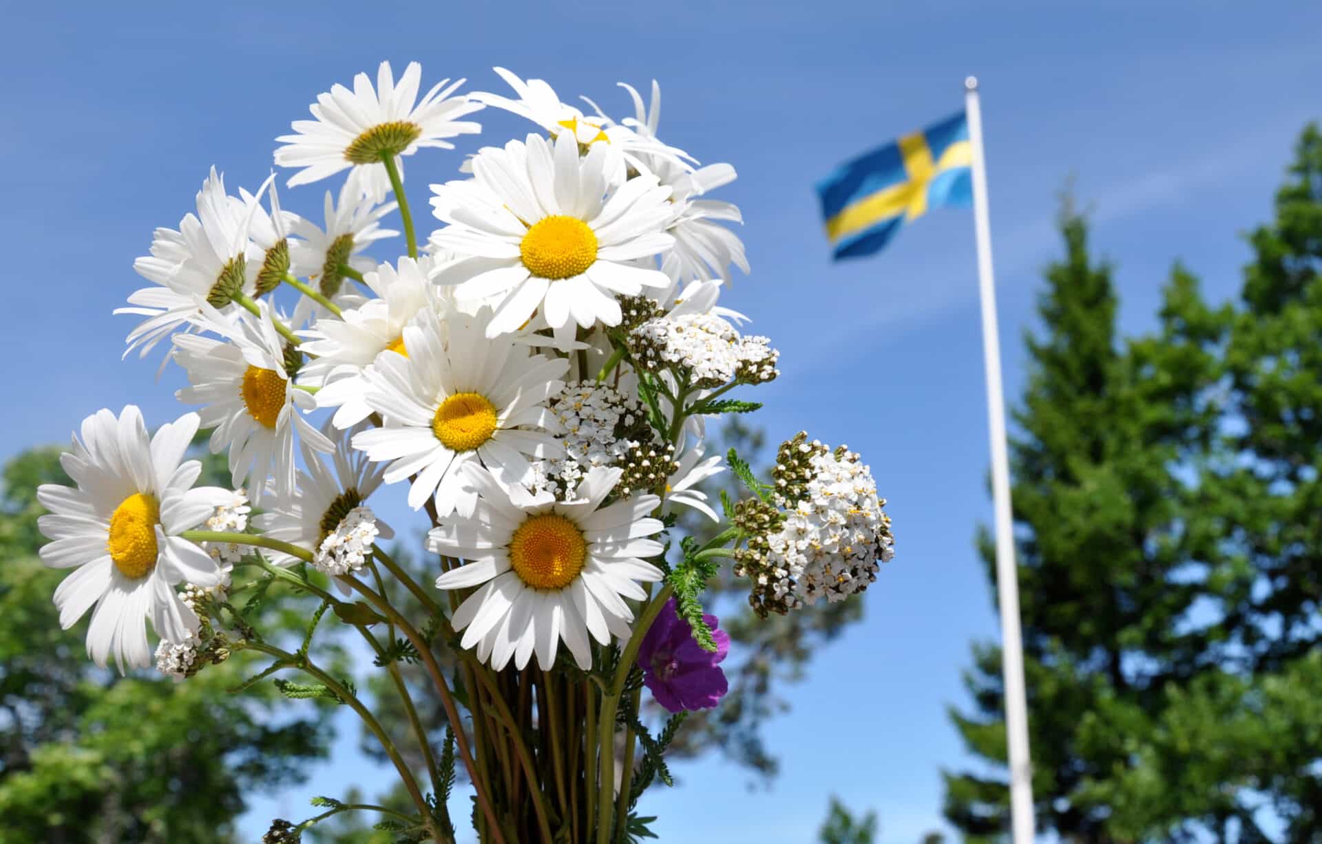 Midsommar, svensk flagga